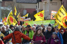  Fukushima-Demo zum 8. Jahrestag des Super-GAU