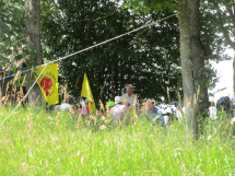  Sonntagsspaziergang Neckarwestheim