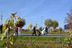 Weiterlesen: Rückschau zum November -...