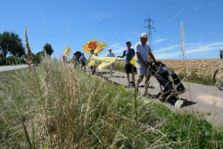 Weiterlesen:  Sofortprogramm für Wind und Sonne jetzt!