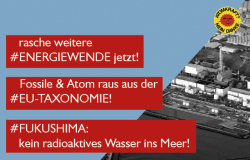 Weiterlesen: Fukushima - Jahrestag 2024 in Neckarwestheim